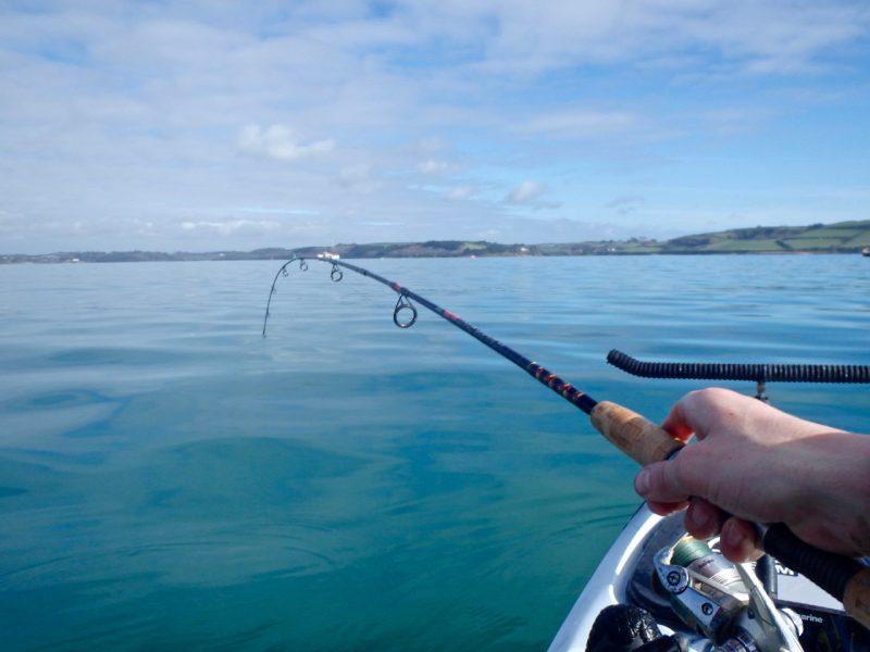 Mackerel Kayak Fishing Rod